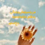 رمان من و سیاوش و زندگی از نویسنده sara bala دانلود رمان با لینک مستقیم