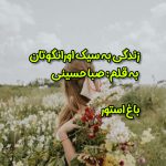 رمان زندگی به سبک اورانگوتان از نویسنده صبا حسینی دانلود رمان با لینک مستقیم