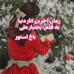 رمان آخرین انار دنیا از نویسنده بختیار علی دانلود رمان با لینک مستقیم