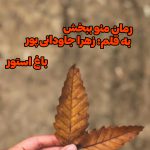 رمان منو ببخش از نویسنده زهرا جاودانی پور دانلود رمان با لینک مستقیم