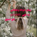 رمان فریاد زندگی از نویسنده golyakh دانلود رمان با لینک مستقیم