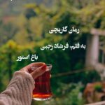 رمان مرد گاریچی از نویسنده فرشاد رجبی pdf رمان با لینک مستقیم