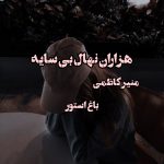 رمان هزاران نهال بی سایه از نویسنده منیر کاظمی دانلود رمان با لینک مستقیم