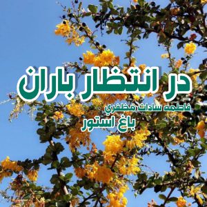 رمان در انتظار باران از نویسنده فاطمه سادات مظفری دانلود رمان با لینک مستقیم