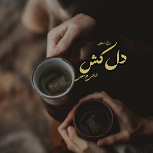 رمان دل کش از نویسنده شادی موسوی دانلود رمان با لینک مستقیم