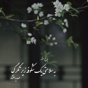 رمان به سلامتی شکوفه زیر تگرگ از نویسنده مهدیه افشار دانلود رمان با لینک مستقیم